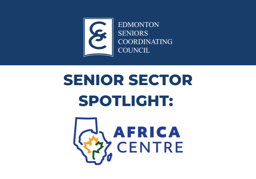 Senior Sector Spotlight Africa Centre (1)