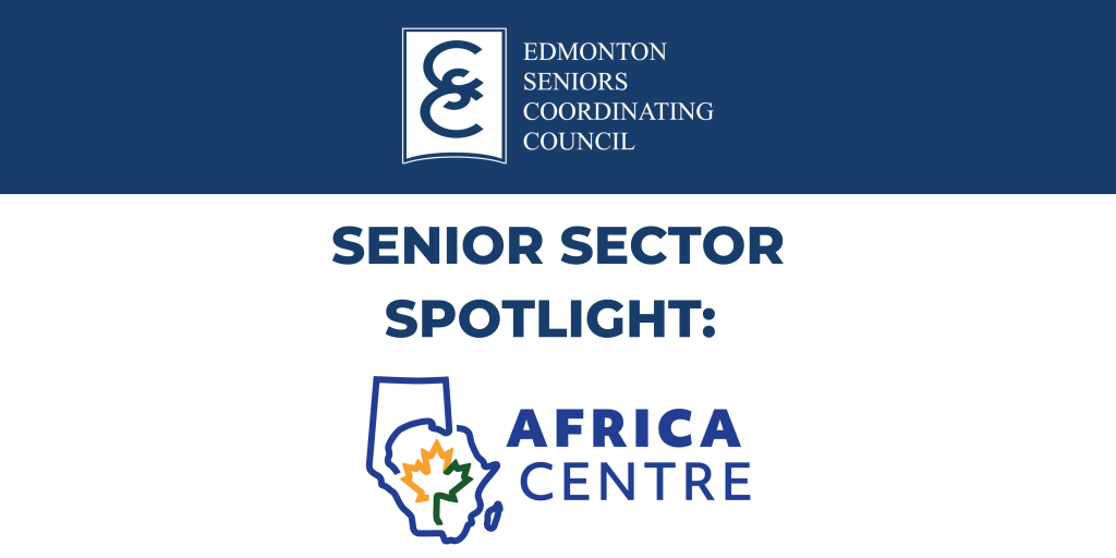 Senior Sector Spotlight Africa Centre (1)