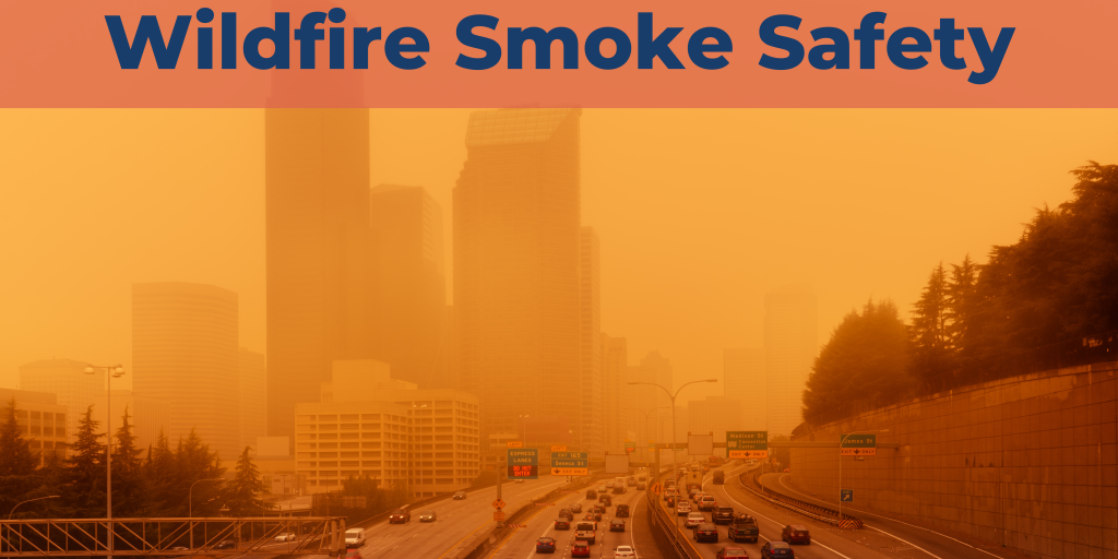 Wildfire Smoke Safety